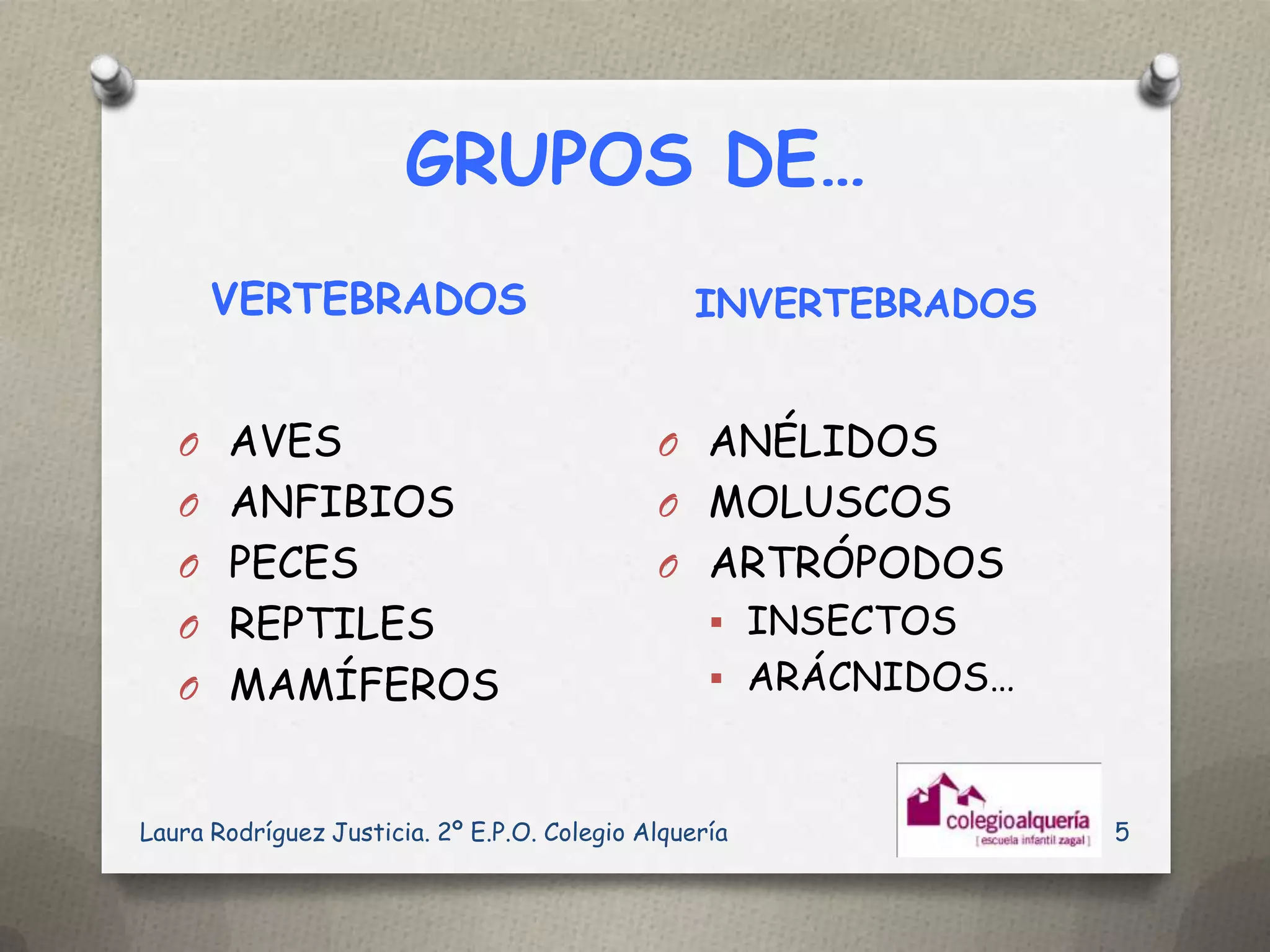GRUPOS DE…
      VERTEBRADOS                                INVERTEBRADOS


   O AVES                                    O ANÉLIDOS
   O ANFIBIOS                                O MOLUSCOS
   O PECES                                   O ARTRÓPODOS
   O REPTILES                                      INSECTOS
   O MAMÍFEROS                                     ARÁCNIDOS…



Laura Rodríguez Justicia. 2º E.P.O. Colegio Alquería             5
 