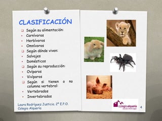 Conferencia 2ºEPO Clasificación Animales