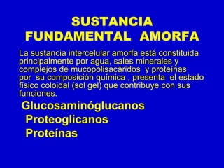 SUSTANCIA
FUNDAMENTAL AMORFA
La sustancia intercelular amorfa está constituida
principalmente por agua, sales minerales y
complejos de mucopolisacáridos y proteínas
por su composición química , presenta el estado
físico coloidal (sol gel) que contribuye con sus
funciones.
Glucosaminóglucanos
Proteoglicanos
Proteínas
 