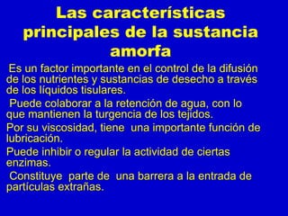 Las características
principales de la sustancia
amorfa
Es un factor importante en el control de la difusión
de los nutrientes y sustancias de desecho a través
de los líquidos tisulares.
Puede colaborar a la retención de agua, con lo
que mantienen la turgencia de los tejidos.
Por su viscosidad, tiene una importante función de
lubricación.
Puede inhibir o regular la actividad de ciertas
enzimas.
Constituye parte de una barrera a la entrada de
partículas extrañas.
 