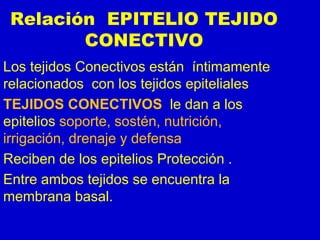 Relación EPITELIO TEJIDO
CONECTIVO
Los tejidos Conectivos están íntimamente
relacionados con los tejidos epiteliales
TEJIDOS CONECTIVOS le dan a los
epitelios soporte, sostén, nutrición,
irrigación, drenaje y defensa
Reciben de los epitelios Protección .
Entre ambos tejidos se encuentra la
membrana basal.
 