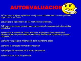 AUTOEVALUACION
1)Compare los tejidos epiteliales y conjuntivos considerando sus componentes,
organización y función.
2) Explique la clasificación de las membranas epiteliales.
3) Exponga las bases estructurales que permiten la cohesión entre las células
epiteliales.
4) Describa el modelo de célula absortiva. Explique la importancia de la
relación espacial que se establece entre las membranas epiteliales y el tejido
conjuntivo.
5) Defina y exponga la importancia de la membrana basal
6) Defina el concepto de Matriz extracelular
7) Explique las funciones de la matriz extracelular
8) Describa los tipos de glándulas
 