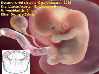 Desarrollo del sistema Cardiovascular 2018
Dra. Lizette Acosta Embriología II
Universidad del Sinu
Elías Bechara Zainum
 