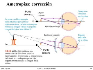 Ametropías: corrección
28/07/2023 Conf. 3 El ojo humano 11
Punto
cercano
Punto
cercano
 