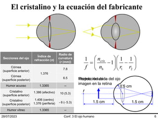 El cristalino y la ecuación del fabricante
28/07/2023 Conf. 3 El ojo humano 6
Secciones del ojo
Índice de
refracción (n)
Radio de
curvatura
(r (mm))
Córnea
(superficie anterior)
1.376
7.8
Córnea
(superficie posterior)
6.5
Humor acuoso 1.3365 --
Cristalino
(superficie anterior)
1.386 (efectivo)
1.406 (centro)
1.376 (periferia)
10 (5.3)
Cristalino
(superficie posterior)
- 6 (- 5.3)
Humor vítreo 1.3365 --
1 2
1 1 1
1
cris
h
n
f n r r
  
  
  
 
 
0.5 cm
f
1.5 cm 1.5 cm
Modelo reducido del ojo
Proyección de la
imagen en la retina
 