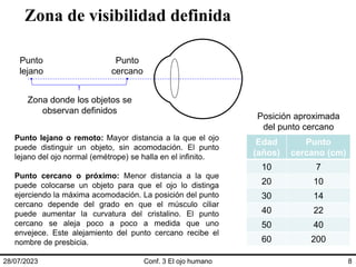 Zona de visibilidad definida
28/07/2023 Conf. 3 El ojo humano 8
Punto
cercano
Punto
lejano
Zona donde los objetos se
observan definidos
Punto lejano o remoto: Mayor distancia a la que el ojo
puede distinguir un objeto, sin acomodación. El punto
lejano del ojo normal (emétrope) se halla en el infinito.
Punto cercano o próximo: Menor distancia a la que
puede colocarse un objeto para que el ojo lo distinga
ejerciendo la máxima acomodación. La posición del punto
cercano depende del grado en que el músculo ciliar
puede aumentar la curvatura del cristalino. El punto
cercano se aleja poco a poco a medida que uno
envejece. Este alejamiento del punto cercano recibe el
nombre de presbicia.
Edad
(años)
Punto
cercano (cm)
10 7
20 10
30 14
40 22
50 40
60 200
Posición aproximada
del punto cercano
 