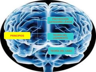 PRINCIPIOS TEORÍA DEL  LIGAMIENTO PROYECCIÓN CATEGORÍA LÉXICA TEORÍA DEL CASO 