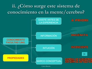 ii. ¿Cómo surge este sistema de conocimiento en la mente/cerebro? CONOCIMIENTO FACULTAD LING. INTUICIÓN INFORMACIÓN EXISTE ANTES DE LA EXPERIENCIA PROPIEDADES MARCO CONCEPTUAL A PRIORI INGÉNITA INCONCIENTE SISTEMA DE SUPUESTOS 