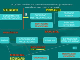 iii. ¿Cómo se utiliza este conocimiento en el habla (o en sistemas secundarios tales como la escritura) CONOCIMIENTO CEREBRO/MENTE PRODUCIR HABLAR CAPACIDAD / DESTREZA PRÁCTICA PERCIBIR ENTENDER MENTALISMO TRADICIONAL ES SECUNDARIO PRIMARIO CONOCIMIENTO FACULTAD LING. DATOS LENGUA i EXPRESIONES ESTRUCTURADAS MENTALISMO CIENTÍFICO SOCIAL BIOLÓGICO BIOLÓGICO PRIMARIO SECUNDARIO CREATIVIDAD SOCIAL 