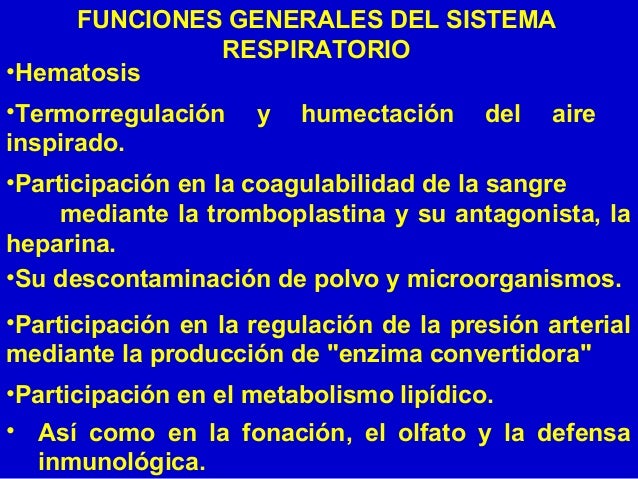 Histología y Embriología del Sistema Respiratorio