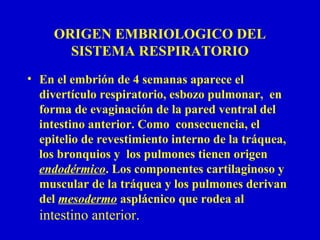 ORIGEN EMBRIOLOGICO DEL
SISTEMA RESPIRATORIO
• En el embrión de 4 semanas aparece el
divertículo respiratorio, esbozo pulmonar, en
forma de evaginación de la pared ventral del
intestino anterior. Como consecuencia, el
epitelio de revestimiento interno de la tráquea,
los bronquios y los pulmones tienen origen
endodérmico. Los componentes cartilaginoso y
muscular de la tráquea y los pulmones derivan
del mesodermo asplácnico que rodea al
intestino anterior.
 