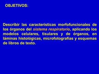 OBJETIVOS:
Describir las características morfofuncionales de
los órganos del sistema respiratorio, aplicando los
modelos celulares, tisulares y de órganos, en
láminas histológicas, microfotografías y esquemas
de libros de texto.
 