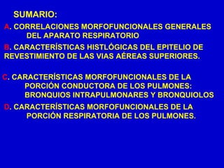 SUMARIO:
A. CORRELACIONES MORFOFUNCIONALES GENERALES
DEL APARATO RESPIRATORIO
B. CARACTERÍSTICAS HISTLÓGICAS DEL EPITELIO DE
REVESTIMIENTO DE LAS VIAS AÉREAS SUPERIORES.
C. CARACTERÍSTICAS MORFOFUNCIONALES DE LA
PORCIÓN CONDUCTORA DE LOS PULMONES:
BRONQUIOS INTRAPULMONARES Y BRONQUIOLOS
D. CARACTERÍSTICAS MORFOFUNCIONALES DE LA
PORCIÓN RESPIRATORIA DE LOS PULMONES.
 