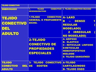 TEJIDO CONECTIVO
EMBRIONARIO 1. TEJIDO CONECTIVO
MESENQUIMATOSO
2. TEJIDO CONECTIVO MUCOSO
TEJIDO
CONECTIVO
DEL
ADULTO
1-TEJIDO CONECTIVO
GENERAL O PROPIAMENTE
DICHO.
A- LAXO
B – DENSO 1
REGULAR (
MODELADO)
2 IRREGULAR (
NO MODELADO)
2-TEJIDO
CONECTIVO DE
PROPIEDADES
ESPECIALES
A- ADIPOSO
B- ELASTICO
C - RETICULAR LINFOIDE
D-RETICULAR
HEMATOPOYETICO
MIELOIDE
E- TEJIDO SANGUÍNEO
TEJIDO
CONECTIVO DEL
ADULTO
3- TEJIDO CONECTIVO
DE SOSTEN
A-TEJIDO
CARTILAGINOSO
B- TEJIDO ÓSEO
 