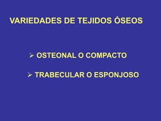 VARIEDADES DE TEJIDOS ÓSEOS
 OSTEONAL O COMPACTO
 TRABECULAR O ESPONJOSO
 