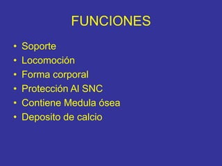 FUNCIONES
• Soporte
• Locomoción
• Forma corporal
• Protección Al SNC
• Contiene Medula ósea
• Deposito de calcio
 