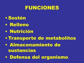 FUNCIONES
• Sostén
• Relleno
• Nutrición
• Transporte de metabolitos
• Almacenamiento de
sustancias
• Defensa del organismo.
 