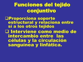 Funciones del tejido
conjuntivo
Proporciona soporte
estructural y relaciona entre
sí a los otros tejidos
 Interviene como medio de
intercambio entre las
células y la circulación
sanguínea y linfática.
 
