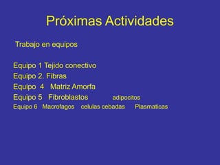 Próximas Actividades
Trabajo en equipos
Equipo 1 Tejido conectivo
Equipo 2. Fibras
Equipo 4 Matriz Amorfa
Equipo 5 Fibroblastos adipocitos
Equipo 6 Macrofagos celulas cebadas Plasmaticas
 