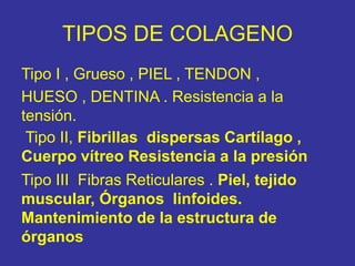 TIPOS DE COLAGENO
Tipo I , Grueso , PIEL , TENDON ,
HUESO , DENTINA . Resistencia a la
tensión.
Tipo II, Fibrillas dispersas Cartílago ,
Cuerpo vítreo Resistencia a la presión
Tipo III Fibras Reticulares . Piel, tejido
muscular, Órganos linfoides.
Mantenimiento de la estructura de
órganos
 