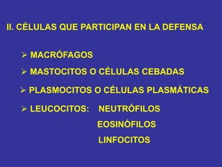 II. CÉLULAS QUE PARTICIPAN EN LA DEFENSA
 MACRÓFAGOS
 MASTOCITOS O CÉLULAS CEBADAS
 PLASMOCITOS O CÉLULAS PLASMÁTICAS
 LEUCOCITOS: NEUTRÓFILOS
EOSINÓFILOS
LINFOCITOS
 