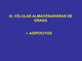 III. CÉLULAS ALMACENADORAS DE
GRASA
 ADIPOCITOS
 