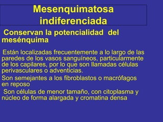 Mesenquimatosa
indiferenciada
Conservan la potencialidad del
mesénquima
Están localizadas frecuentemente a lo largo de las
paredes de los vasos sanguíneos, particularmente
de los capilares, por lo que son llamadas células
perivasculares o adventicias.
Son semejantes a los fibroblastos o macrófagos
en reposo
Son células de menor tamaño, con citoplasma y
núcleo de forma alargada y cromatina densa
 