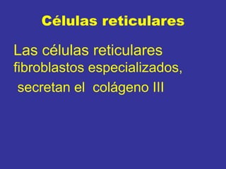 Células reticulares
Las células reticulares
fibroblastos especializados,
secretan el colágeno III
 