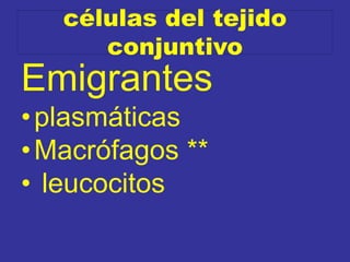 células del tejido
conjuntivo
Emigrantes
•plasmáticas
•Macrófagos **
• leucocitos
 