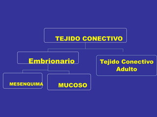 TEJIDO CONECTIVO
Embrionario
MESENQUIMA MUCOSO
Tejido Conectivo
Adulto
 