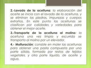 2.-Lavado de la aceituna: la elaboración del
aceite se inicia con el lavado de la aceituna, y
se eliminan las piedras, impurezas y cuerpos
extraños. En este punto las aceitunas se
clasifican por calidades y variedades para
obtener el mejor aceite.
3.-Transporte de la aceituna al molino: la
aceituna una vez limpia y escurrida se
transporta al molino por un elevador.
4.- Molturación: consiste en moler las aceitunas
para obtener una pasta compuesta por una
parte sólida, formada por restos de tejidos
vegetales, y otra parte líquida, de aceite y
agua.
 