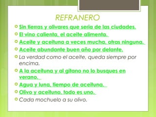 REFRANERO
 Sin tierras y olivares que seria de las ciudades.
 El vino calienta, el aceite alimenta.
 Aceite y aceituna a veces mucha, otras ninguna.
 Aceite abundante buen año por delante.
 La verdad como el aceite, queda siempre por
  encima.
 A la aceituna y al gitano no lo busques en
  verano. 
 Agua y luna, tiempo de aceituna. 
 Olivo y aceituno, todo es uno. 
 Cada mochuelo a su olivo. 
 