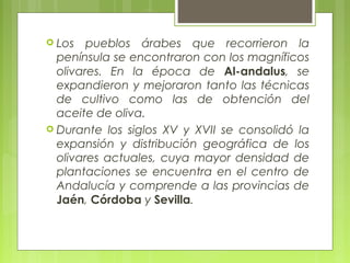  Los   pueblos árabes que recorrieron la
  península se encontraron con los magníficos
  olivares. En la época de Al-andalus, se
  expandieron y mejoraron tanto las técnicas
  de cultivo como las de obtención del
  aceite de oliva.
 Durante los siglos XV y XVII se consolidó la
  expansión y distribución geográfica de los
  olivares actuales, cuya mayor densidad de
  plantaciones se encuentra en el centro de
  Andalucía y comprende a las provincias de
  Jaén, Córdoba y Sevilla.
 