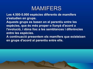 MAMIFERS
Les 4.500-5.000 espècies diferents de mamífers
s'estudien en grups.
Aquests grups es basen en el parentiu entre les
espècies, que és més proper o llunyà d'acord a
l'evolució, i dóna lloc a les semblances i diferències
entre les espècies.
A continuació presentem els mamífers que existeixen
en grups d'acord al parentiu entre ells.
 