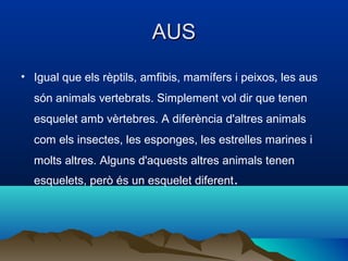 AUS
• Igual que els rèptils, amfibis, mamífers i peixos, les aus
  són animals vertebrats. Simplement vol dir que tenen
  esquelet amb vèrtebres. A diferència d'altres animals
  com els insectes, les esponges, les estrelles marines i
  molts altres. Alguns d'aquests altres animals tenen
  esquelets, però és un esquelet diferent.
 