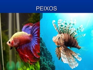 PEIXOS
 