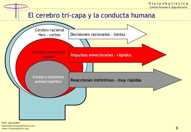 El autoengaño, el populismo y el fanatismo también se consolidan ...