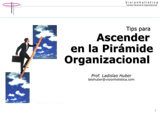 Prof. Ladislao Huber [email_address] Tips para   Ascender  en la Pirámide Organizacional   