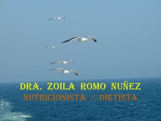 DRA. ZOILA ROMO NUÑEZ
NUTRICIONISTA / DIETISTA
 