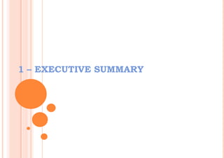 1 – EXECUTIVE SUMMARY     
