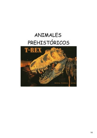 ANIMALES
PREHISTÓRICOS




                14
 