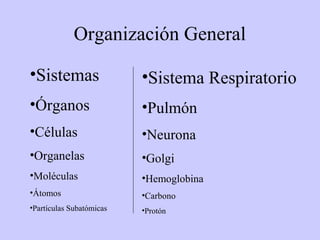 Organización General
•Sistemas
•Órganos
•Células
•Organelas
•Moléculas
•Átomos
•Partículas Subatómicas
•Sistema Respiratorio
•Pulmón
•Neurona
•Golgi
•Hemoglobina
•Carbono
•Protón
 