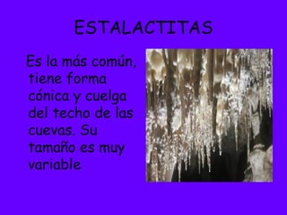 ESTALACTITAS
Es la más común,
tiene forma
cónica y cuelga
del techo de las
cuevas. Su
tamaño es muy
variable
 