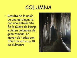 COLUMNA
• Resulta de la unión
de una estalagmita
con una estalactita.
En la Cueva de Nerja
existen columnas de
gran tamaño. La
mayor de todas con
32mt de altura y 18
de diámetro
 