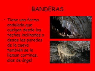 BANDERAS
• Tiene una forma
ondulada que
cuelgan desde los
techos inclinados o
desde las paredes
de la cueva
también se le
llaman cortinas,
alas de ángel
 