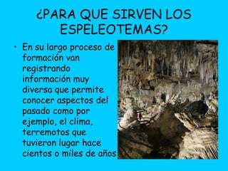 ¿PARA QUE SIRVEN LOS
ESPELEOTEMAS?
• En su largo proceso de
formación van
registrando
información muy
diversa que permite
conocer aspectos del
pasado como por
ejemplo, el clima,
terremotos que
tuvieron lugar hace
cientos o miles de años
 