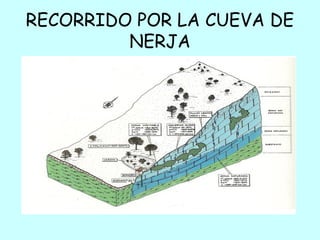 RECORRIDO POR LA CUEVA DE
NERJA
 