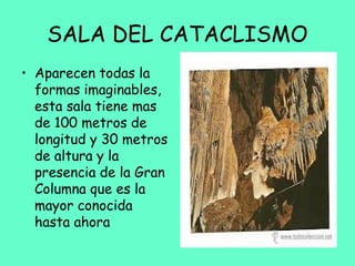 SALA DEL CATACLISMO
• Aparecen todas la
formas imaginables,
esta sala tiene mas
de 100 metros de
longitud y 30 metros
de altura y la
presencia de la Gran
Columna que es la
mayor conocida
hasta ahora
 