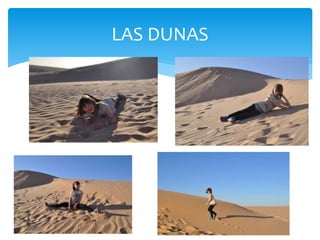 LAS DUNAS
 