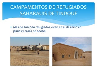 CAMPAMENTOS DE REFUGIADOS
SAHARAUIS DE TINDOUF
 Más de 200.000 refugiados viven en el desierto en
jaimas y casas de adobe.
 